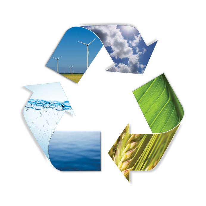 Renewable Energy Transport and Logistics